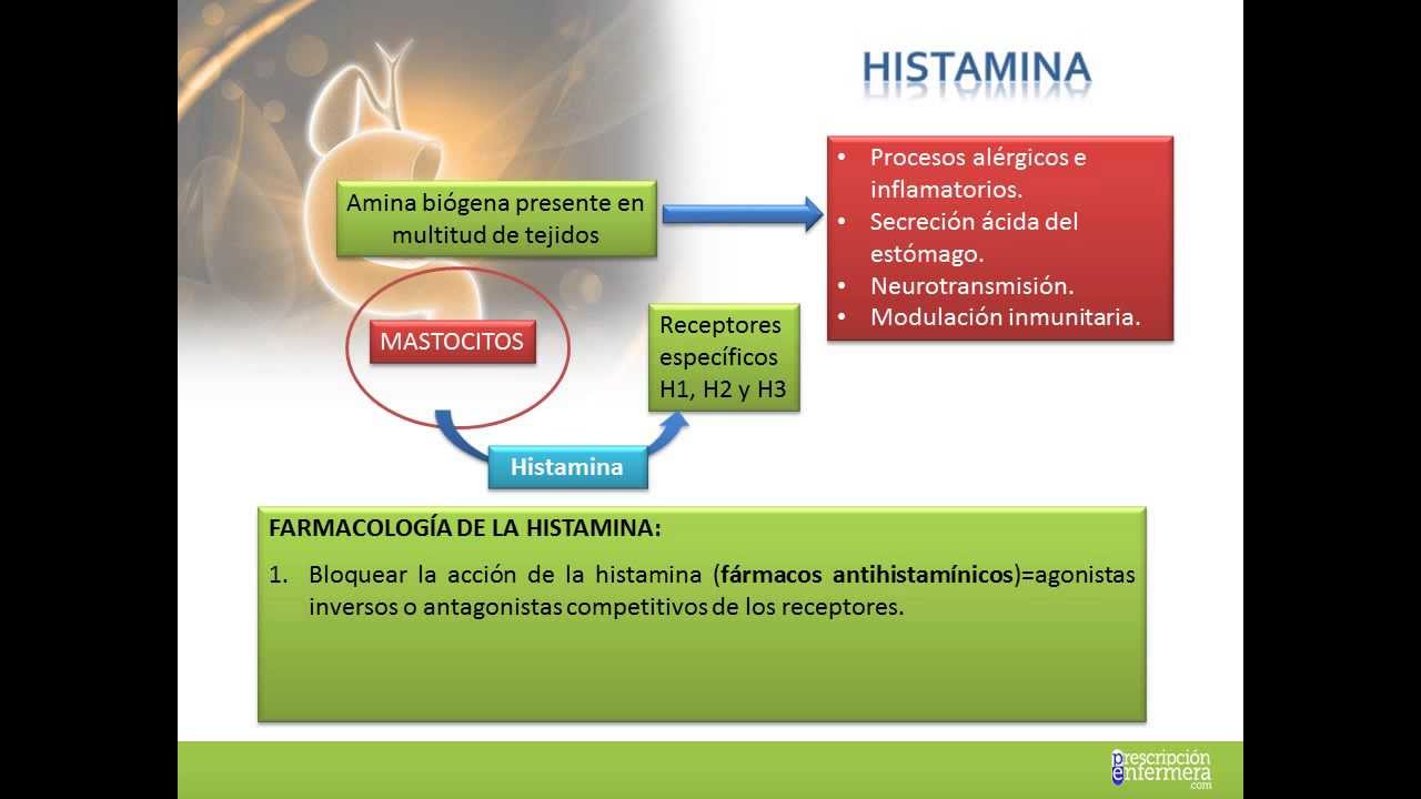 ANTIHISTAMINICOS