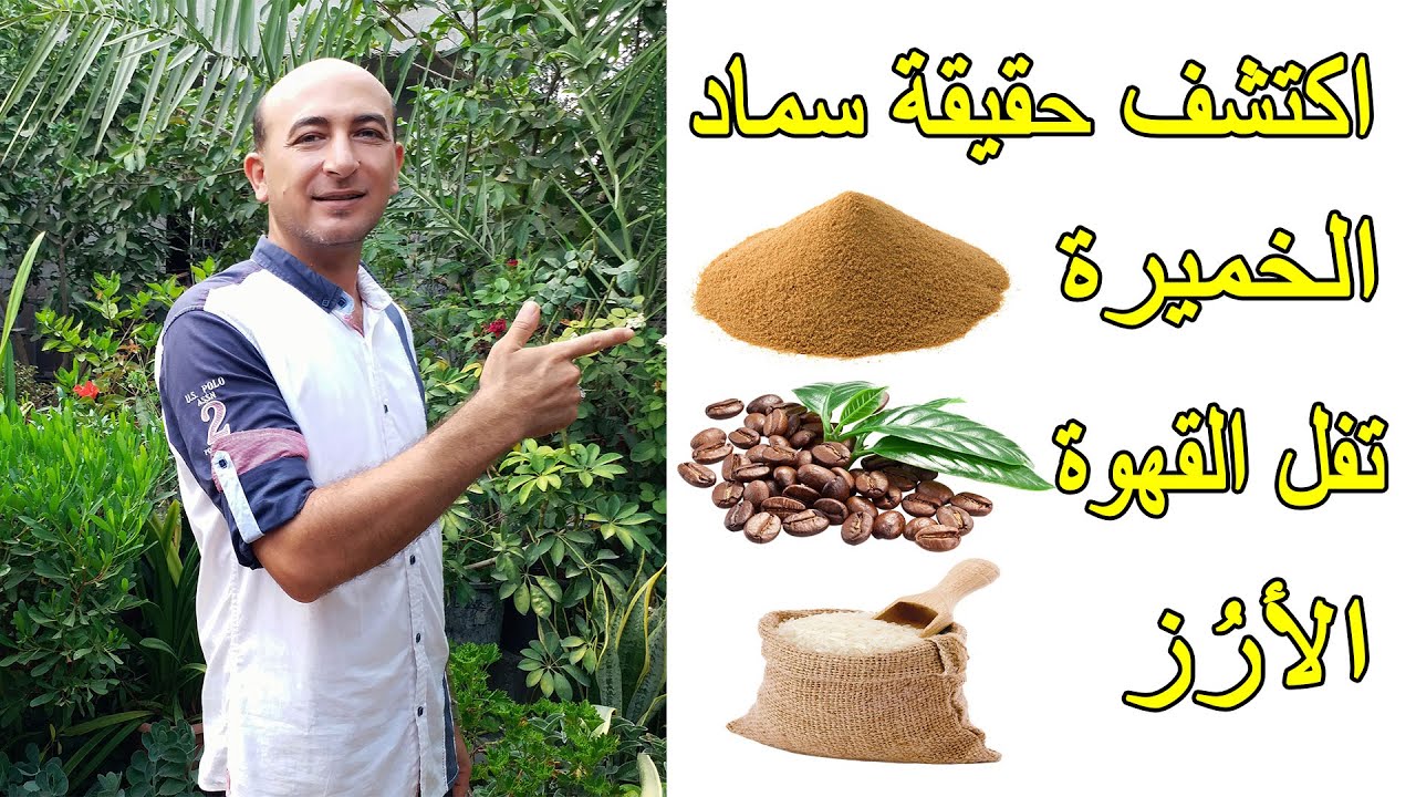 تجربة و نتائج استخدام سماد الخميرة و تفل القهوة و منقوع الارز على النباتات,Using Natural Fertilizers