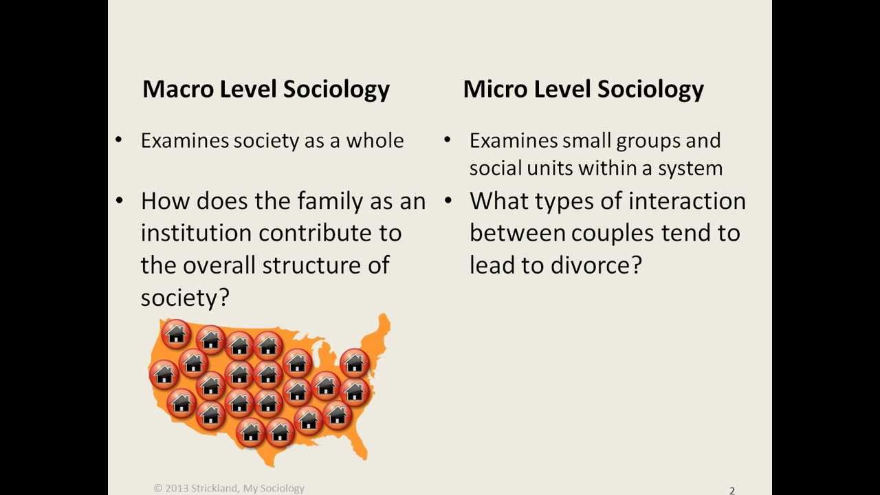 My Sociology Mini Lecture 2.1 - Micro & Macro Sociology