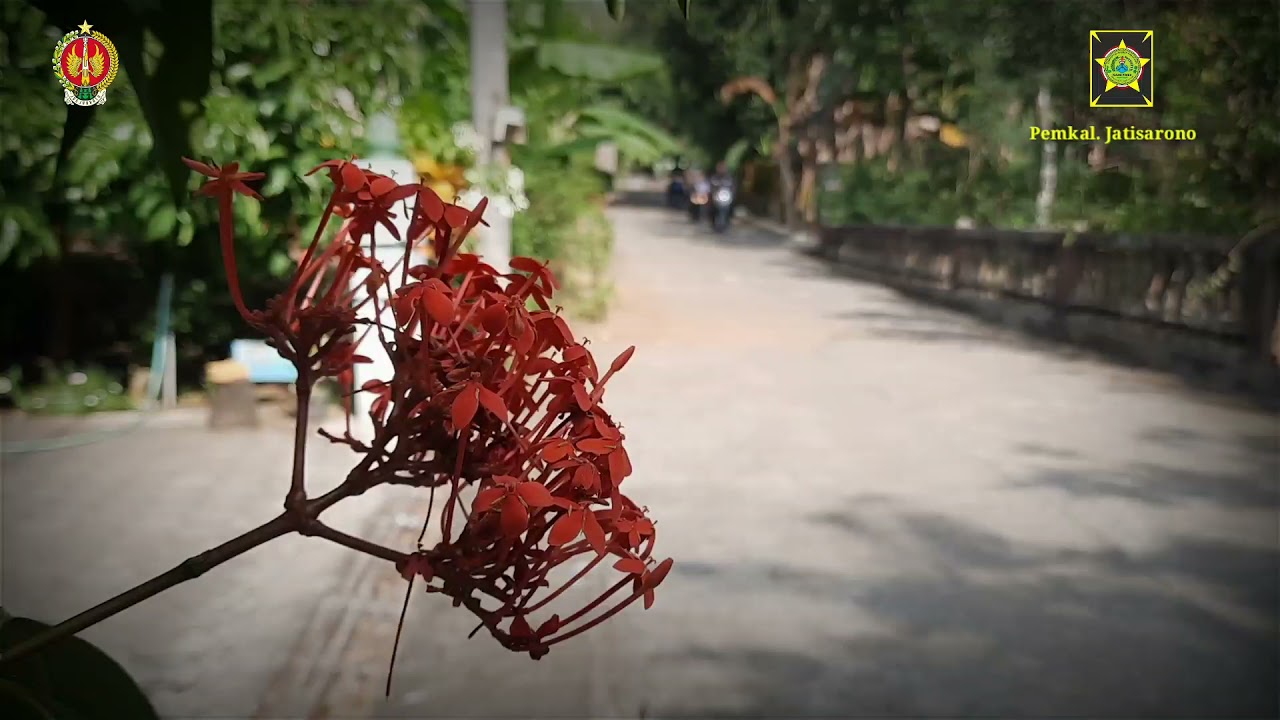 Bantuan BKK Danais Kalurahan Jatisarono