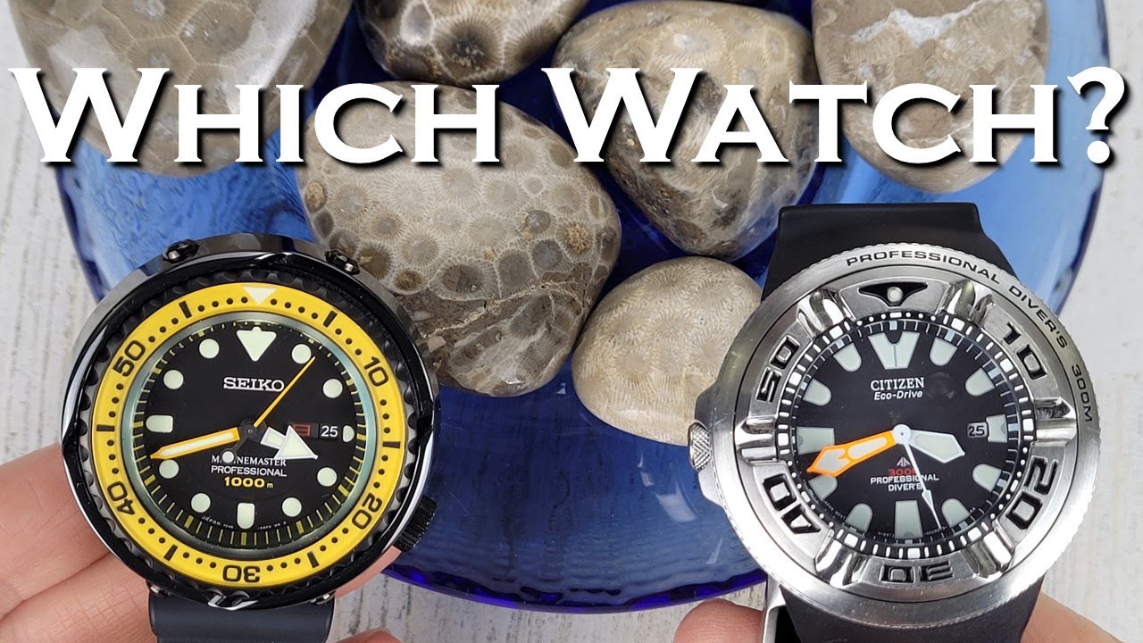 Seiko Marine Master SBBN027 Tuna vs Citizen Eco-Zilla BJ8050-08E #citizen #seiko #dive #watch