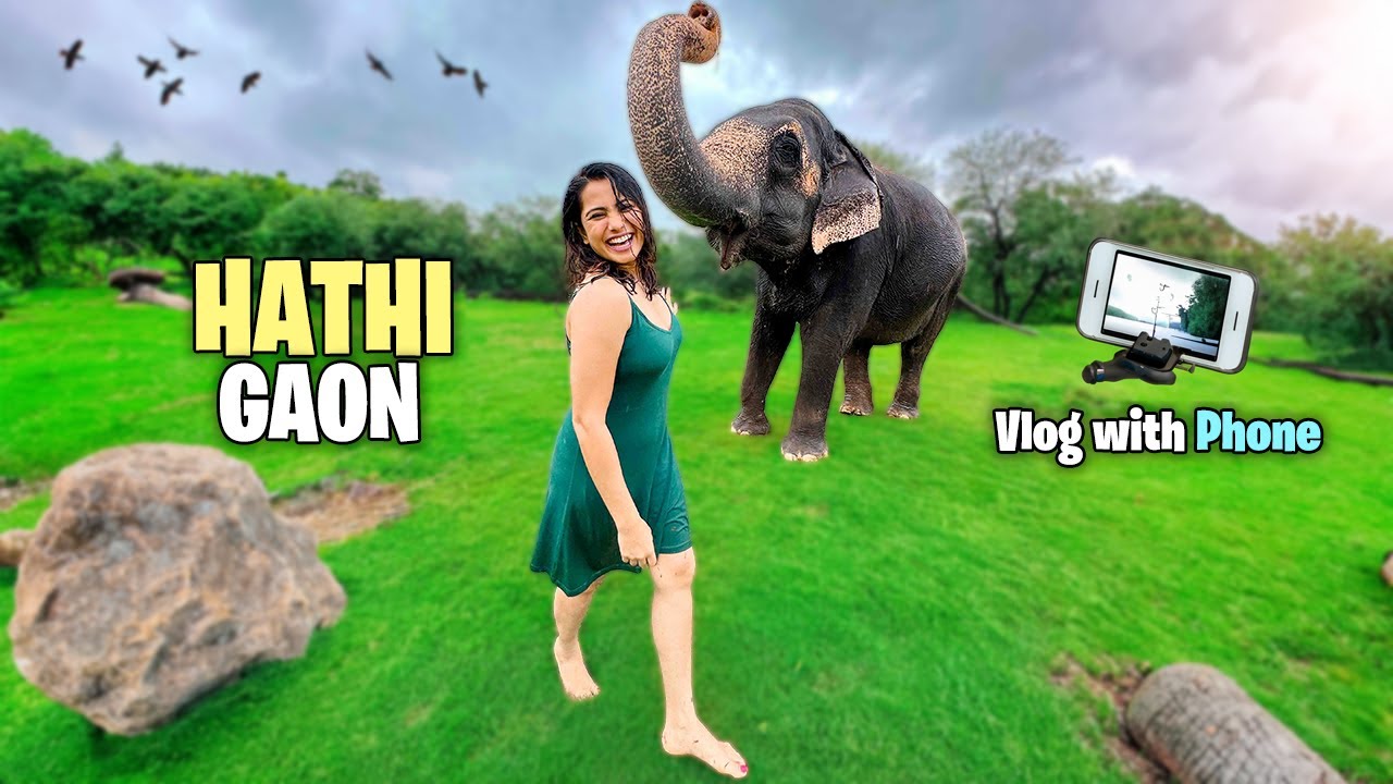 Тайный рай Джайпура 🐘🕌: радостное семейное приключение в Hathi Gaon! 👨‍👩‍👧‍👦