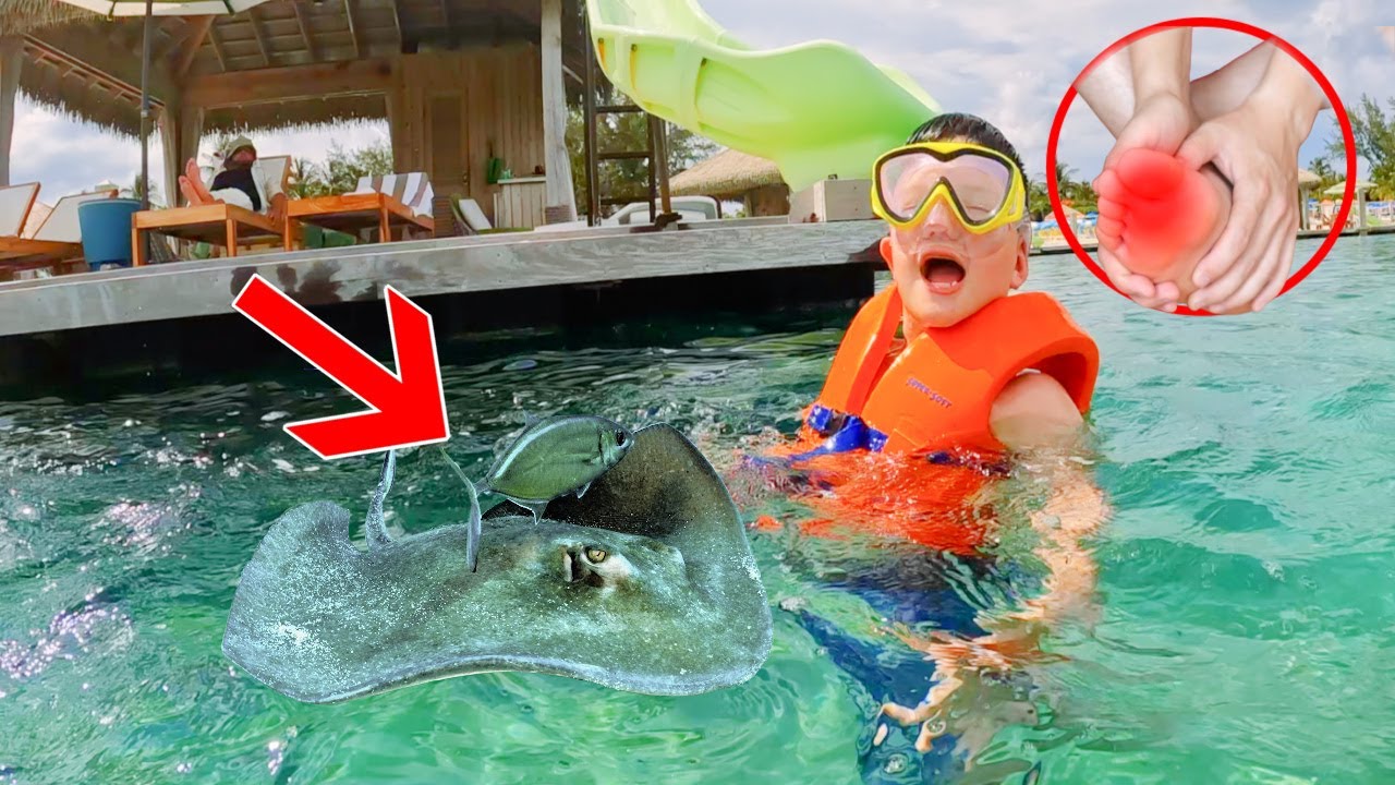 STUNG BY A STINGRAY...ALMOST!