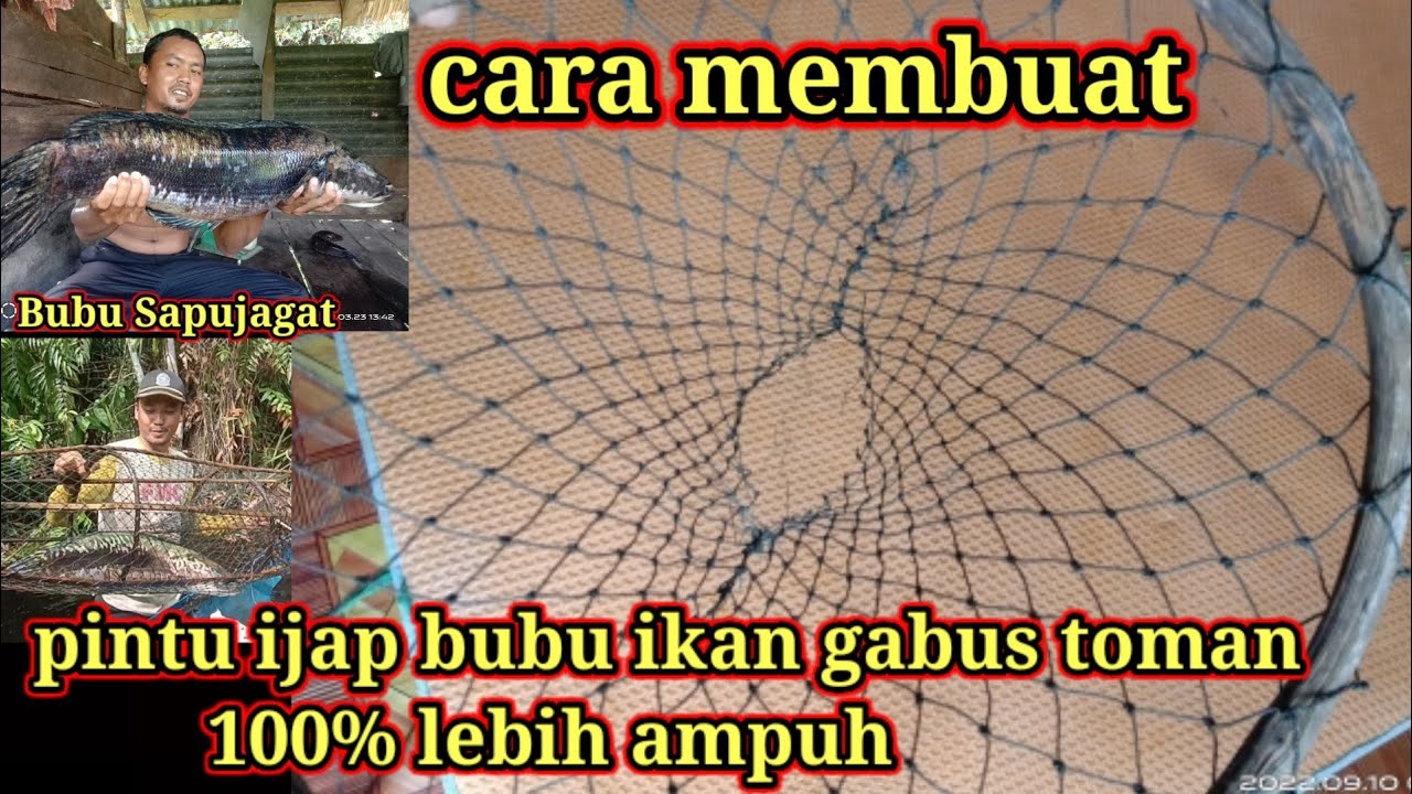 Cara Atau Tutorial Membuat Pintu Ijap Bubu Ikan Gabus Atau Ikan Toman @hamdanmargono