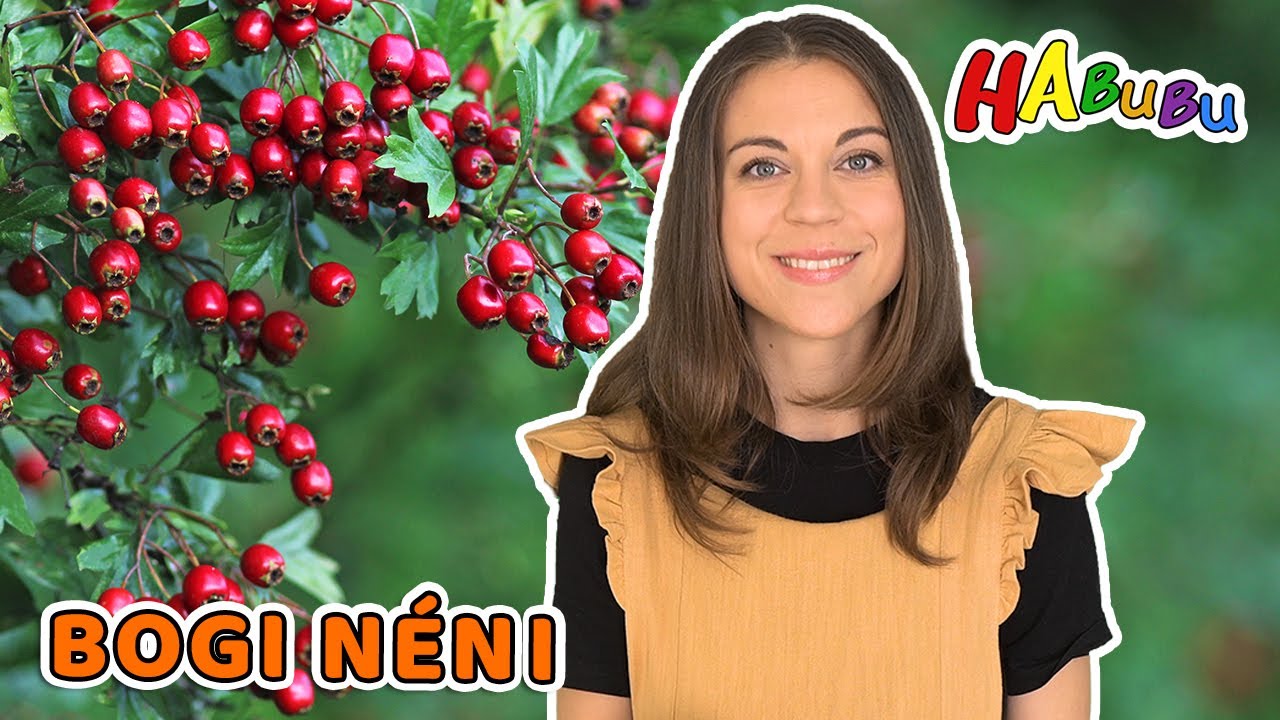 A Galagonya | Őszi Erdő | Weöres Sándor vers | Bogi Néni