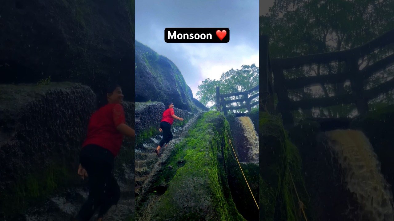 Monsoon Magic at Sanjay Gandhi National Park 😍 