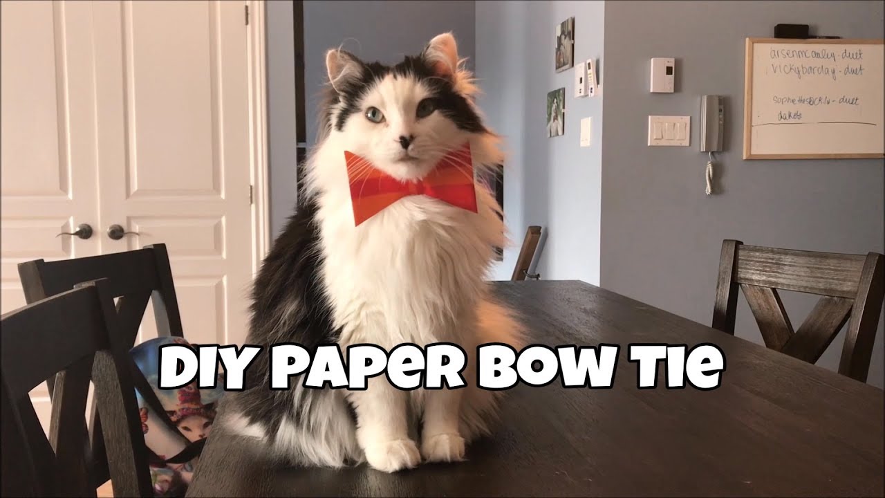 How to make a DIY Paper Bow Tie