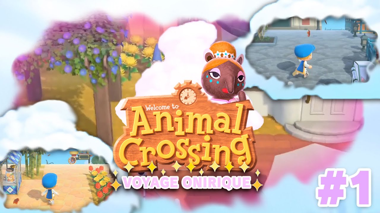 JE VISITE UNE ILE ONIRIQUE | Animal Crossing : New Horizons