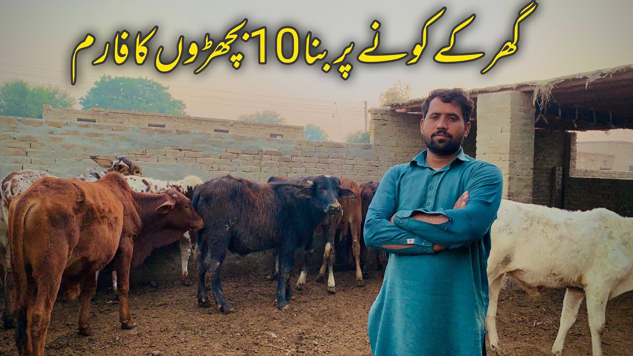 Small Bachra Farm and Business details of bachra Farming 2026