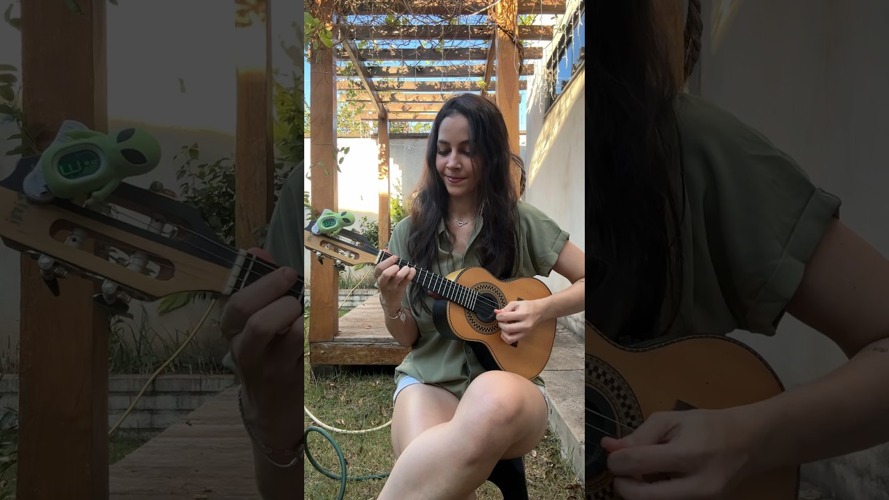Bit do cavaquinho