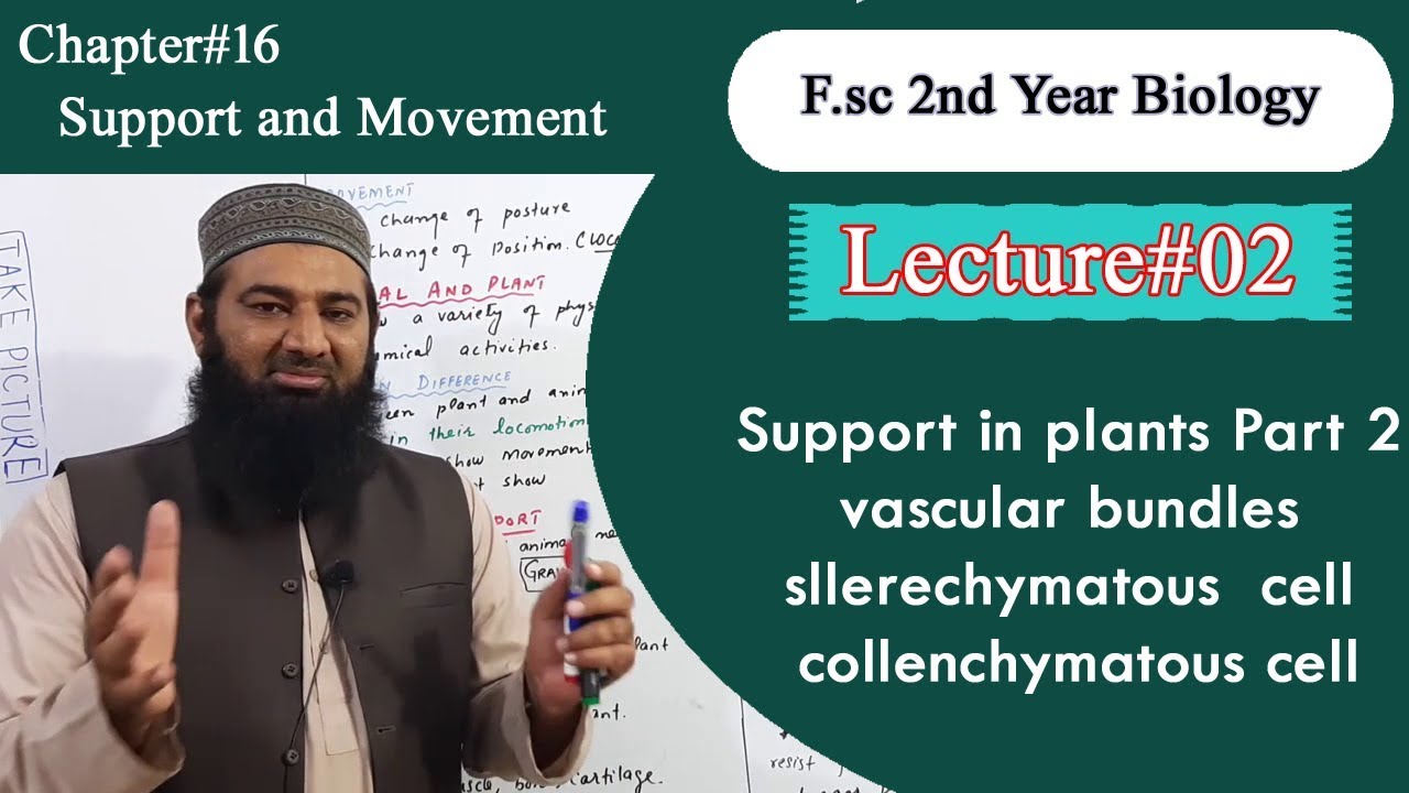 Biology Ch#16-Lecture#02 Support in plants part 2 (F.Sc 2nd Year)