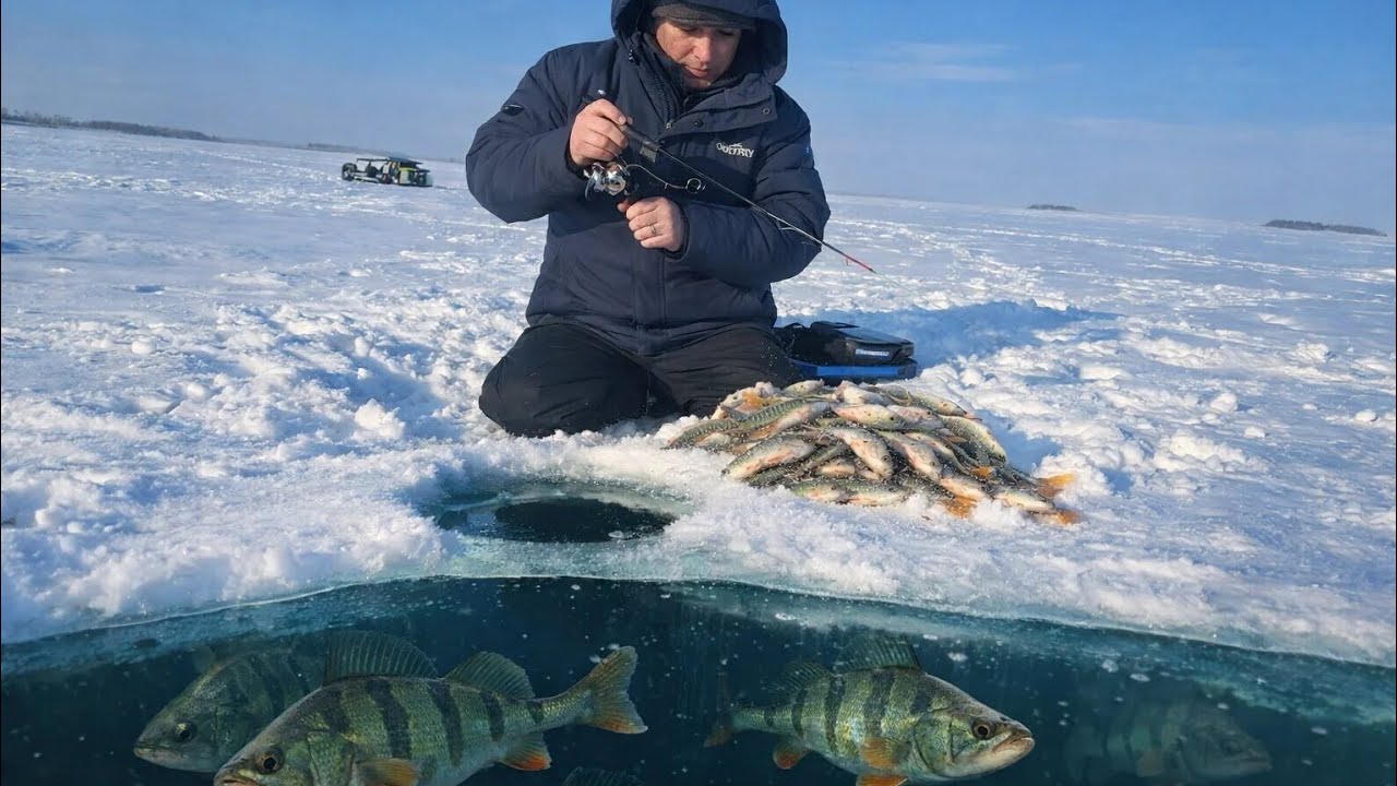 ЗИМНЯЯ РЫБАЛКА НА ОКУНЯ В ГЛУХОЗИМЬЕ. Ловля Окуня на Балансир. Зимняя рыбалка 2026.