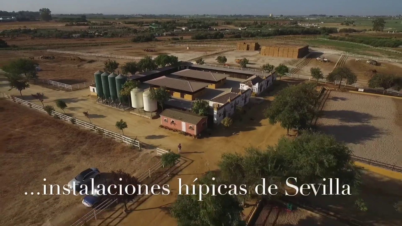 Una de las mejores fincas con instalaciones hípicas del sur de España