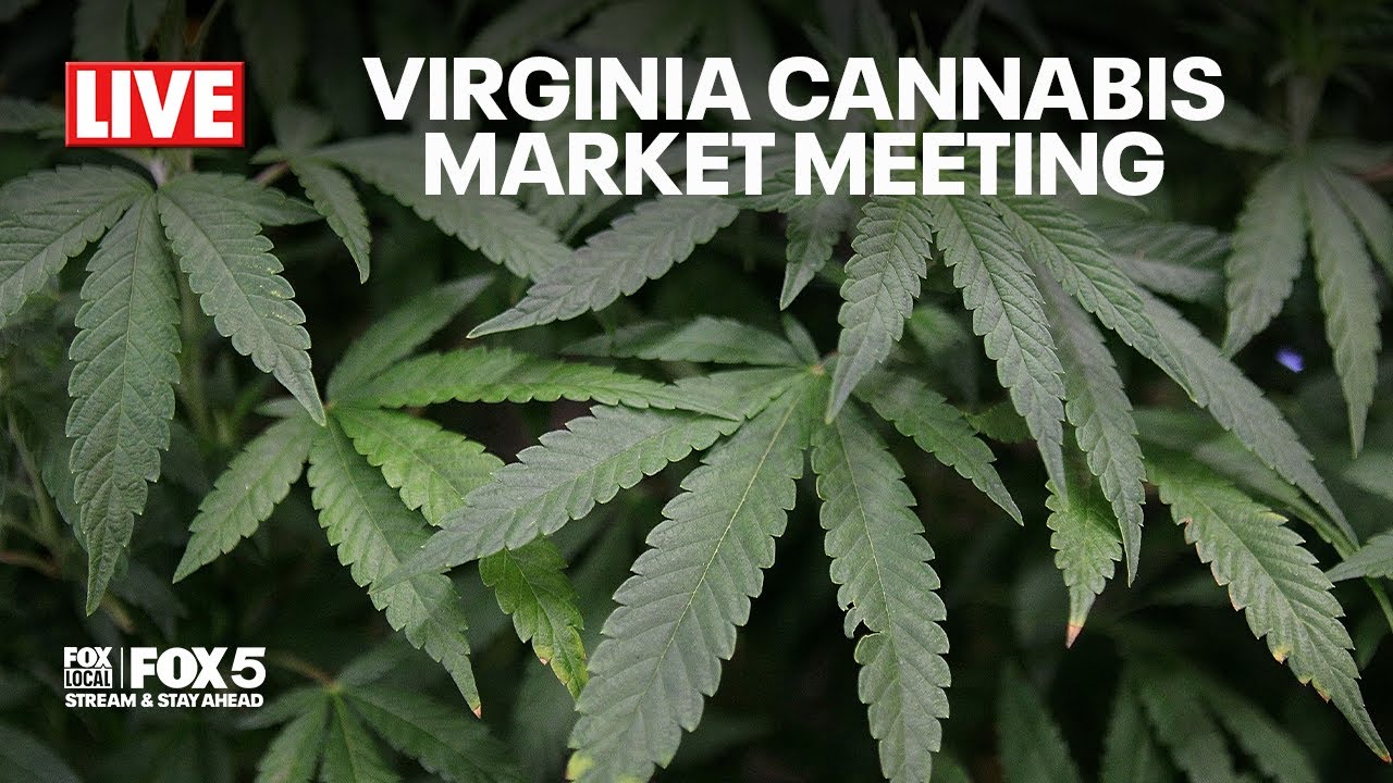 LIVE: Virginia Cannabis Retail Market Meeting