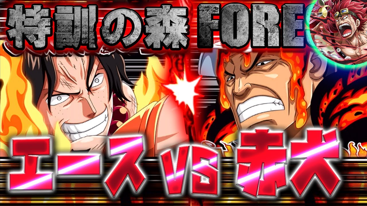 トレクル＃290 特訓の森　磁場　エースVS赤犬　VS効果ヤバい