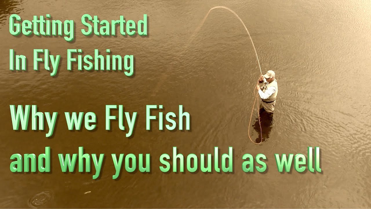 Getting Started in Fly Fishing: What is the appeal of fly fishing? Why would we want to fly fish?