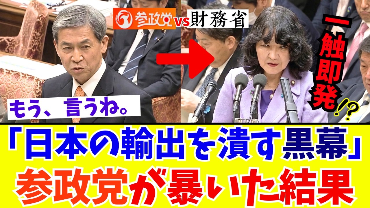 【国会激震】参政党の超エリート新人が突いた最大のタブー。需要はあるのに日本企業が海外進出できない本当の理由！的確すぎる神質問に議場がどよめく