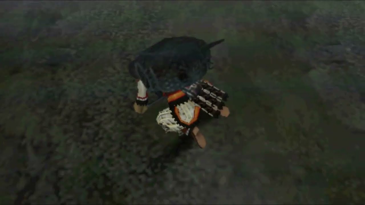 【MHP2G】　カンタロス　乱獲案