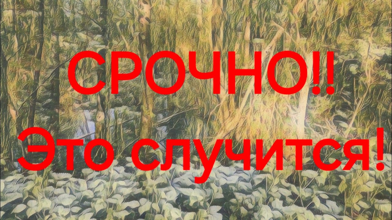 🔥Бумеранг сопернице! За магию! 💣 #предсказаниялели