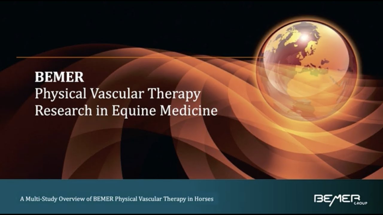BEMER Physical Vascular Therapy Research in Equine Medicine