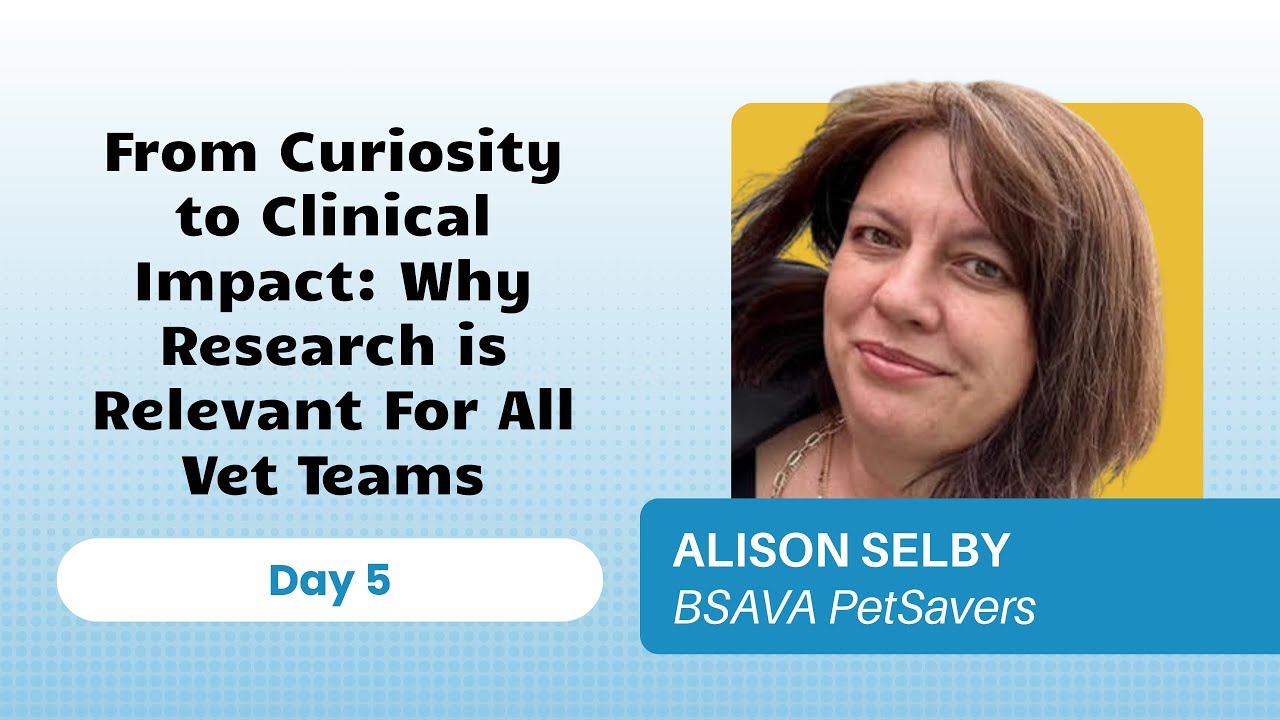 Why Research Is Relevant For All Vet Teams