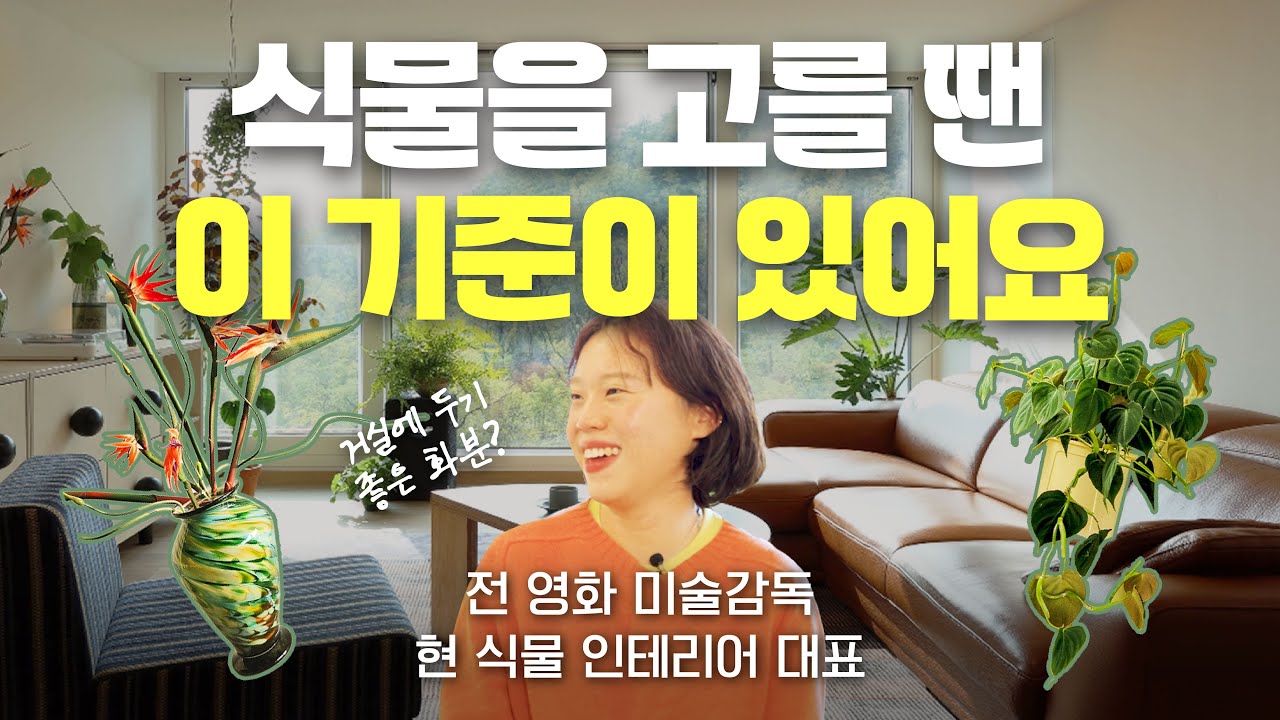 [Ep.1] 식물 하나로 공간이 완전히 바뀐다  | 초록동색 편