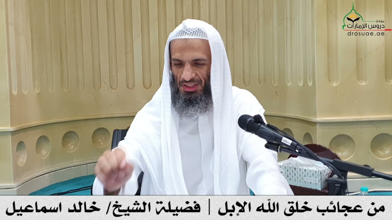 من عجائب خلق الله الإبل | فضيلة الشيخ/ خالد اسماعيل