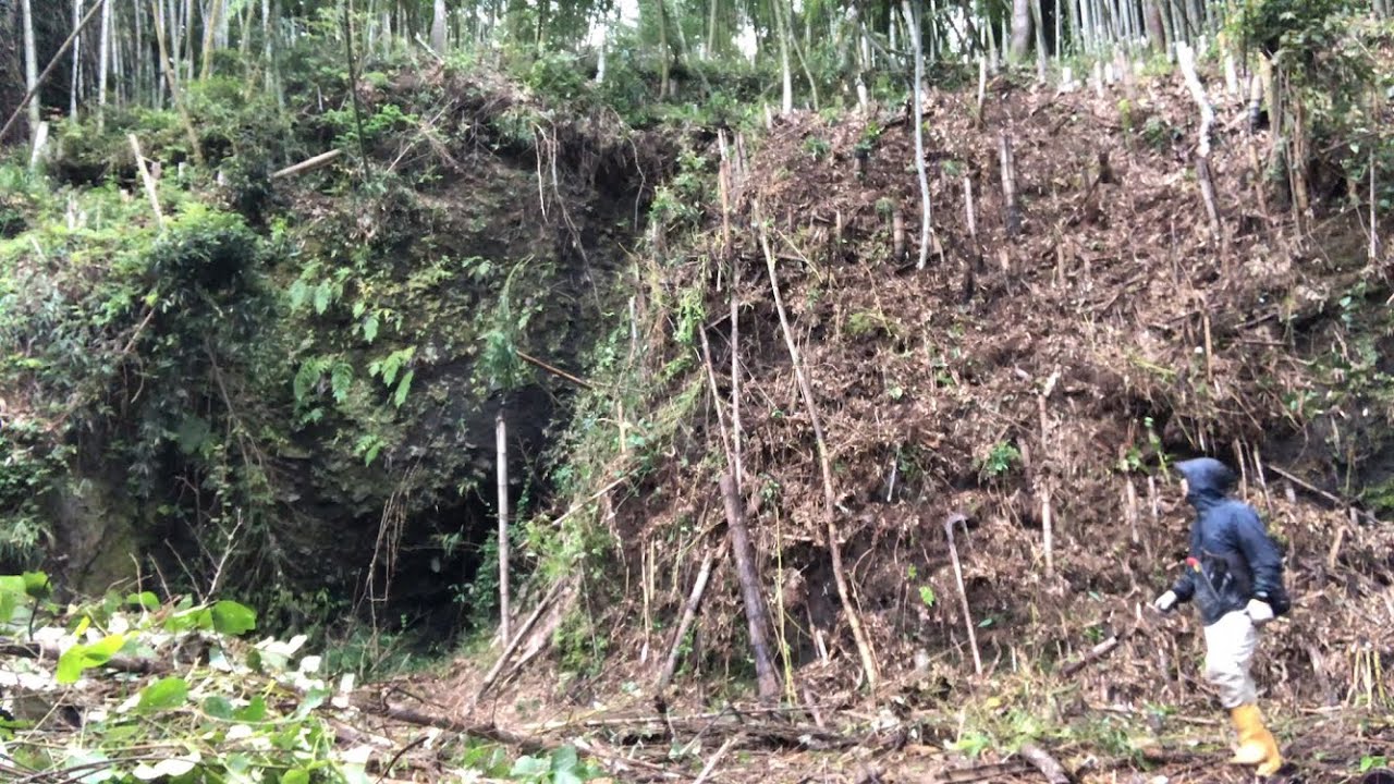 荒廃した孟宗竹林の整備2年目の野焼き～伐った竹を全部引きずり出したところ2023/09/25-01