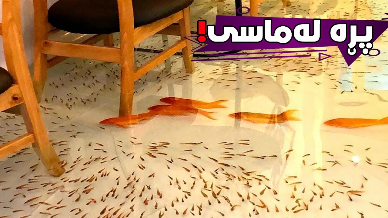سەرنج ڕاکێشترین چێشت خانە و ڕێستۆرانتەکانی جیهان..!!