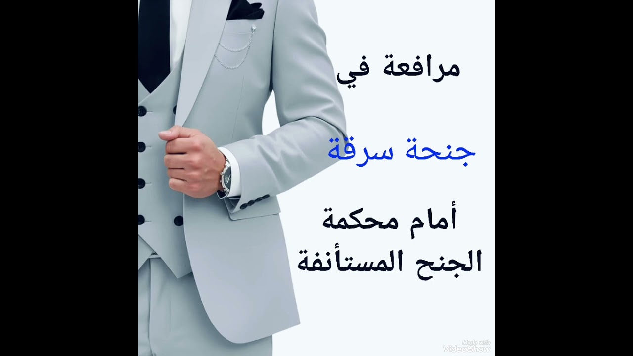 مرافعة في جنحة سرقة _ هاني حجاج المحامي بالنقض 
