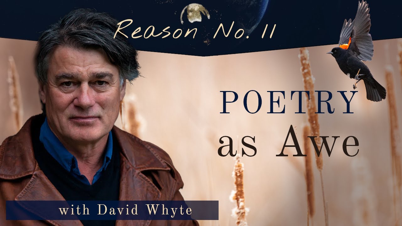 Reason No. 11: Poetry as Awe with David Whyte
