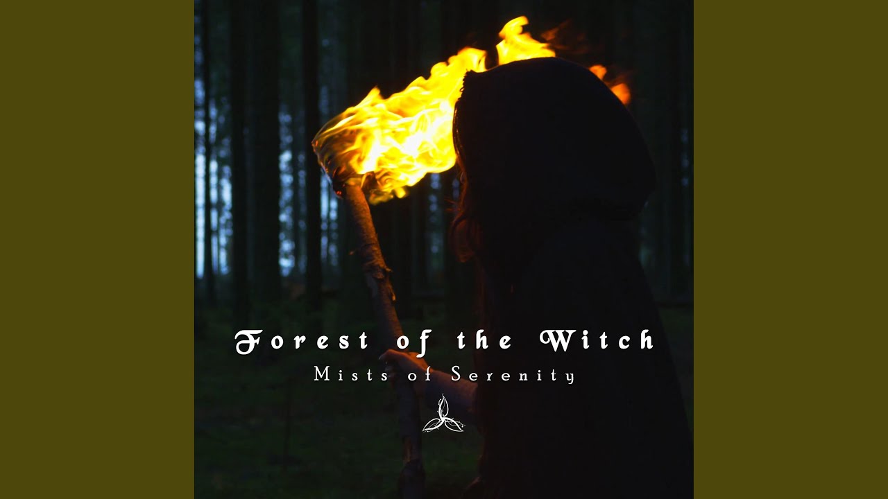 Forest of the Witch