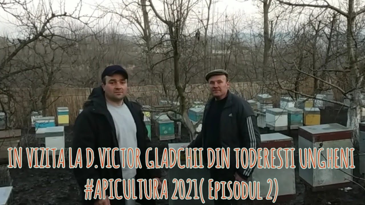 IN VIZITA LA D.VICTOR GLADCHII DIN TODERESTI UNGHENI  #APICULTURA 2021 #( Episodul  2)