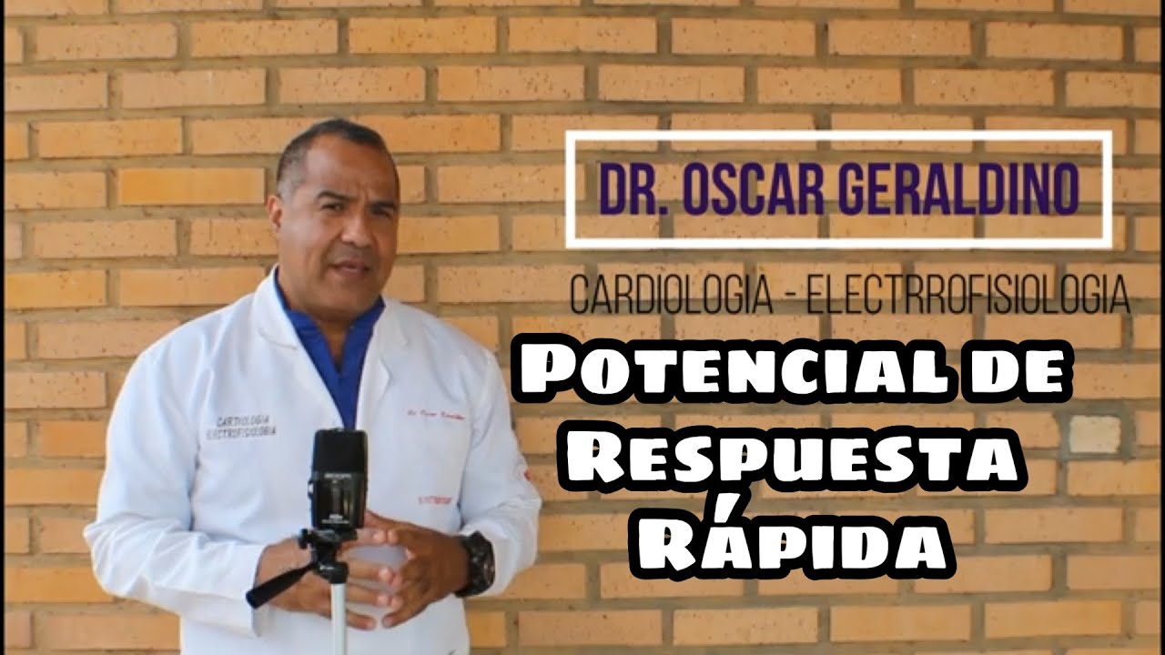 Fibra cardíaca de RESPUESTA RÁPIDA