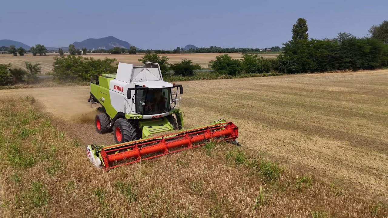 TEAM BROGIN | Trebbiatura Orzo Biologico 2025. (Organic Barley Harvest 2025)