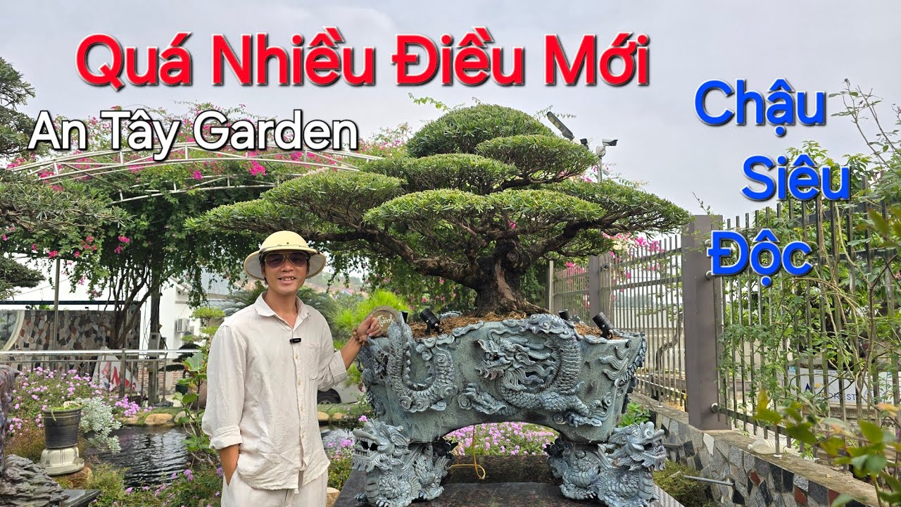 Những mẫu CHẬU ĐỘC - LẠ có 1 0 2 Xuất Hiện tại AN TÂY Garden cùng với RẤT NHIỀU CÂY MỚI .