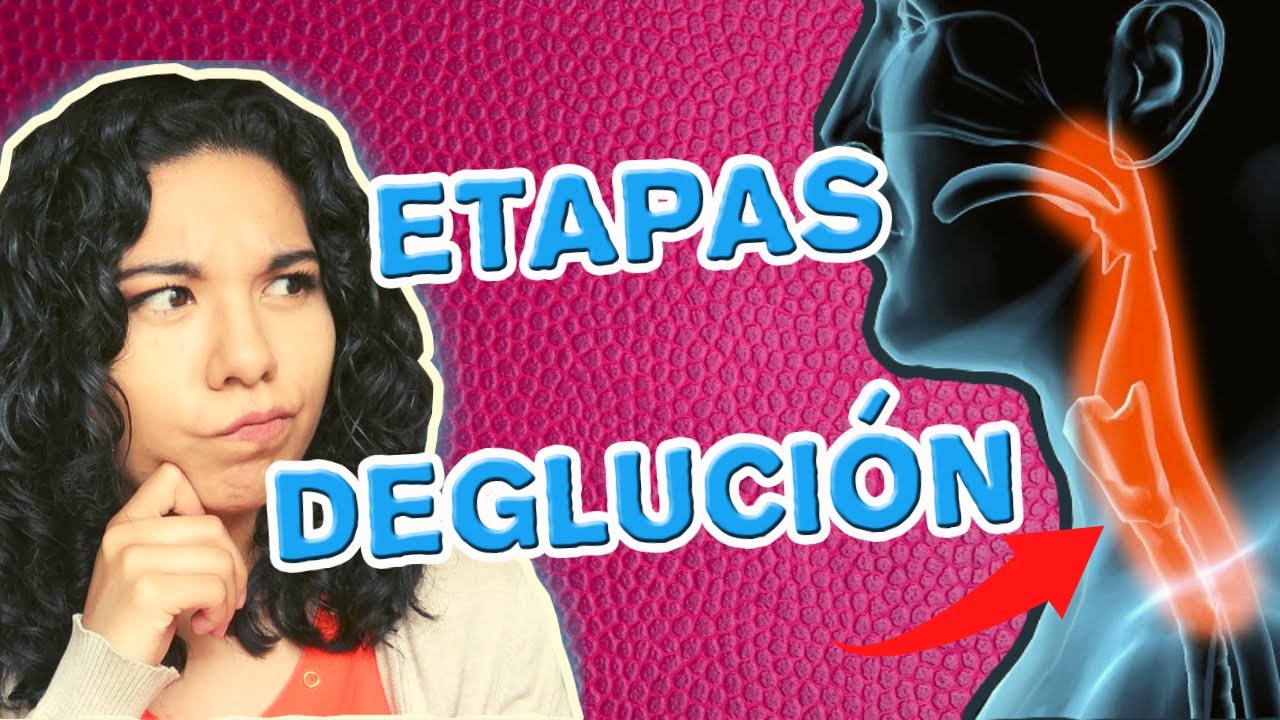 ETAPAS DE LA DEGLUCIÓN 🤓 / FISIOLOGÍA
