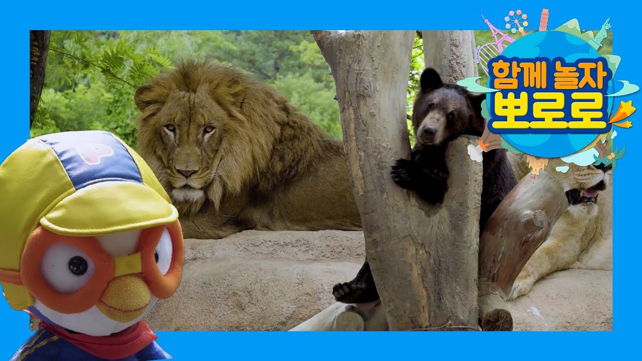 Zoo with Pororo l Learn Animals l Pororo Vlog l Pororo the Little Penguin l POYO TV