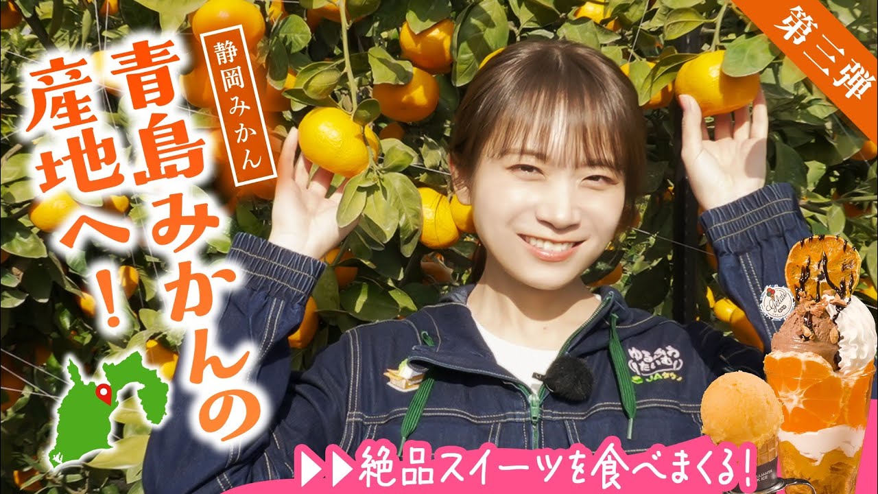 秋元真夏が駿河湾を見渡す青島みかん畑へ！生産者の方の収穫期の1日のスケジュールとは！？青島みかんのジェラートやパフェもいただきました！