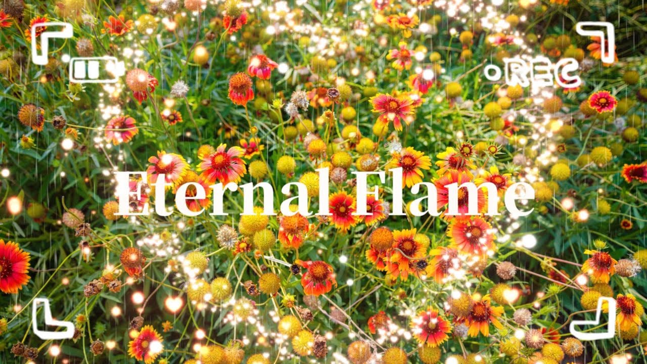 Eternal Flame - Where Love Becomes Landscape | 