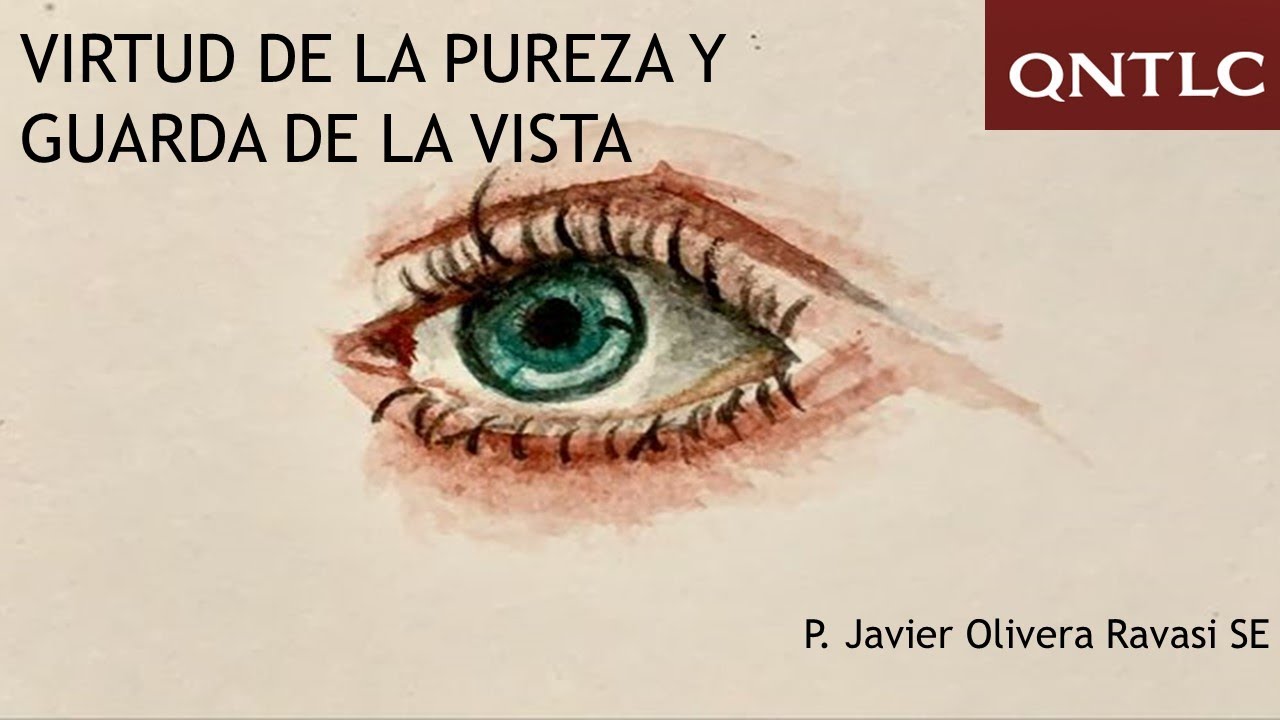 Pureza y guarda de la vista. Sermón P. Javier Olivera Ravasi, SE