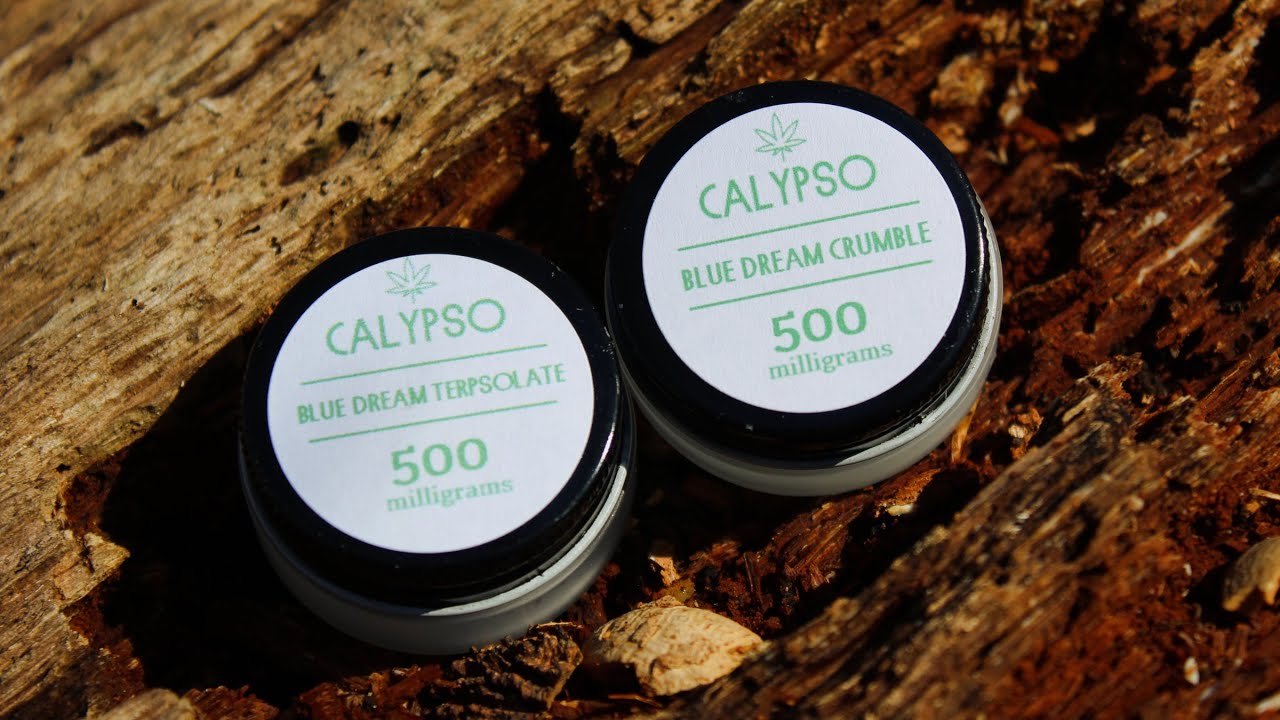 Calypso CBD Blue Dream Crumble and Terpsolate Review