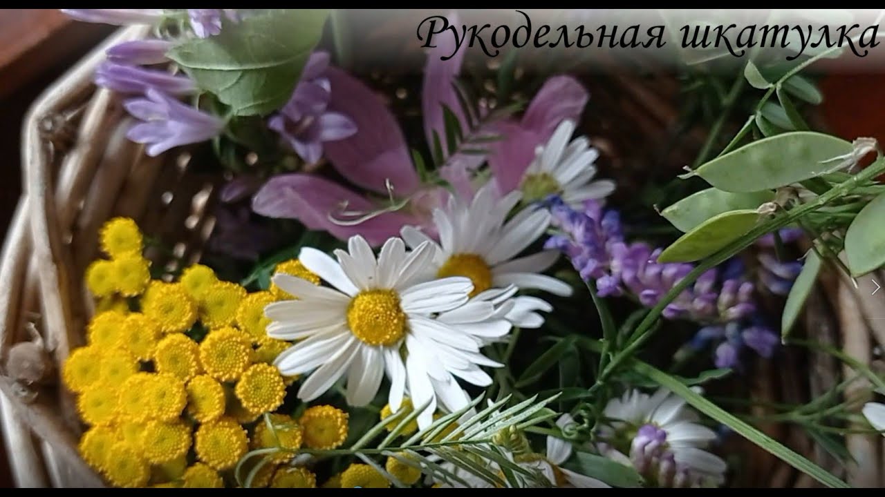 Краски лета / Цветы жизни