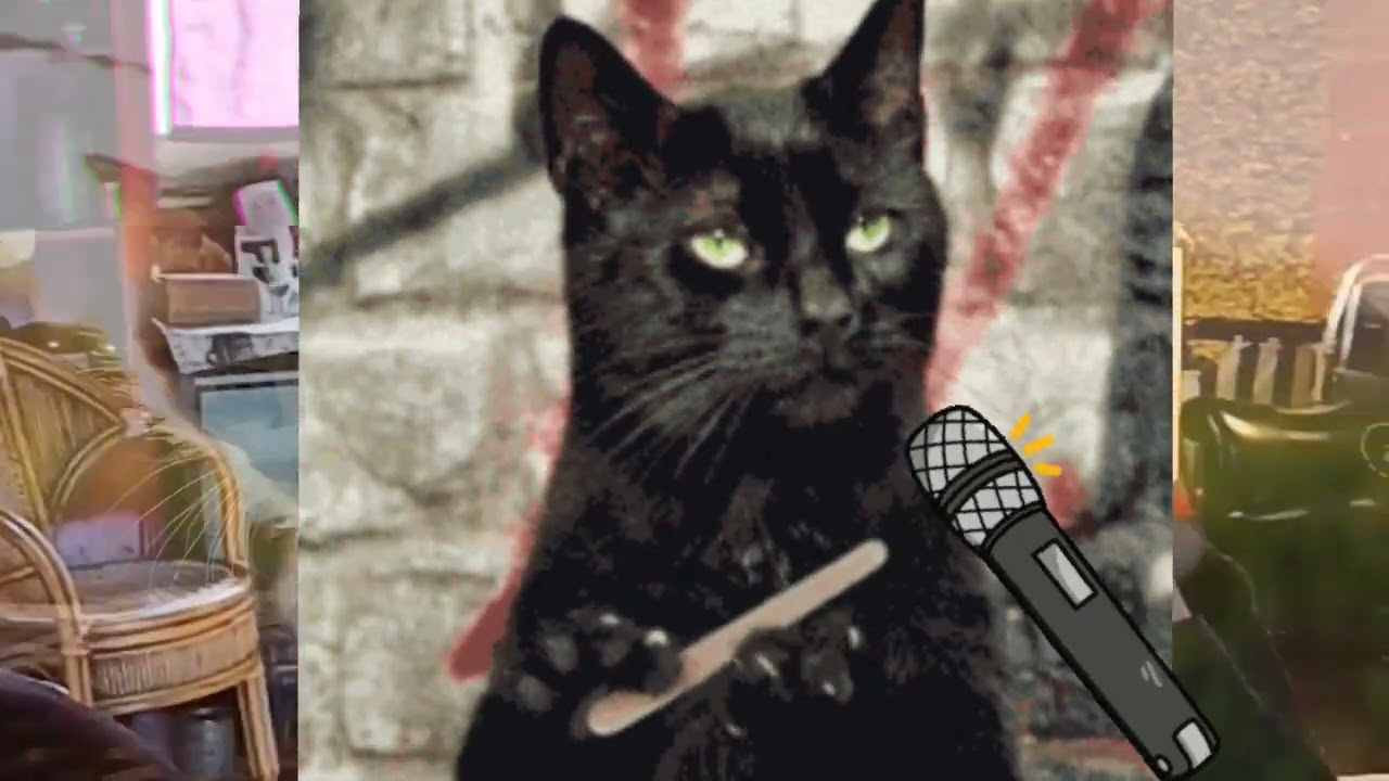 SOTA KABALLO REY- Gatitos y Maderos