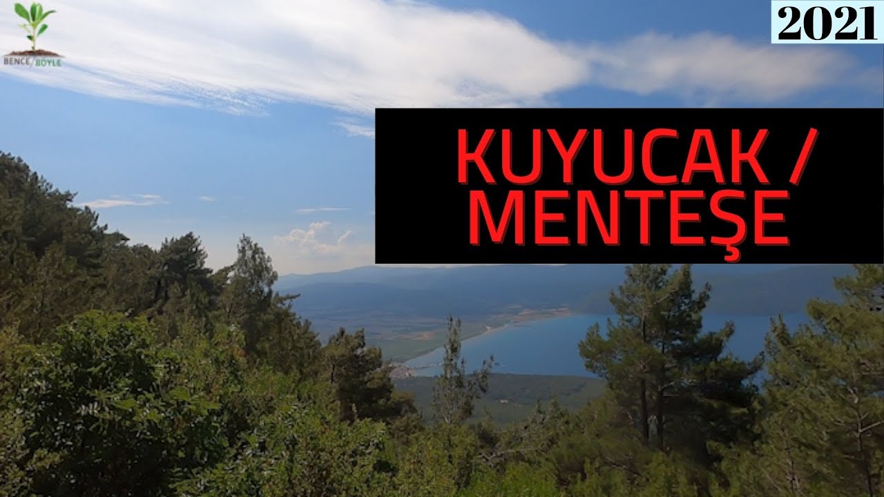 Muğla/Menteşe/Kuyucak-Akyaka Arası/2021