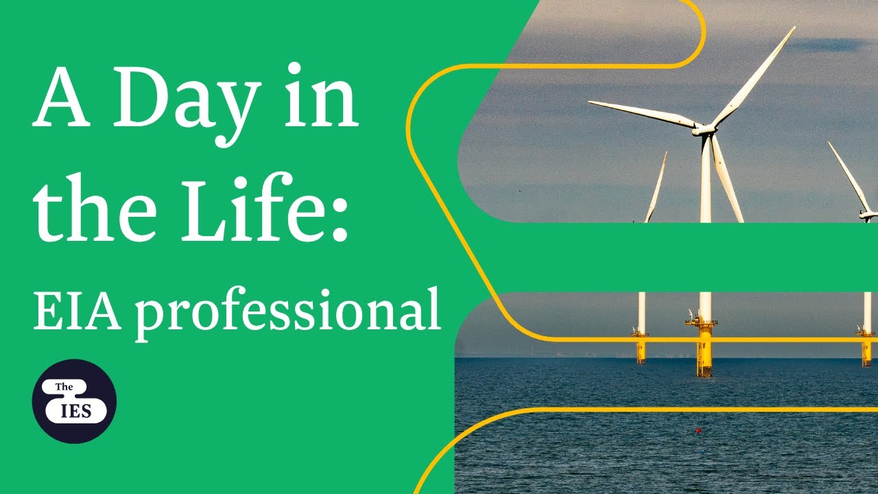 A Day in the Life of an Environmental Impact Assessment (EIA) professional