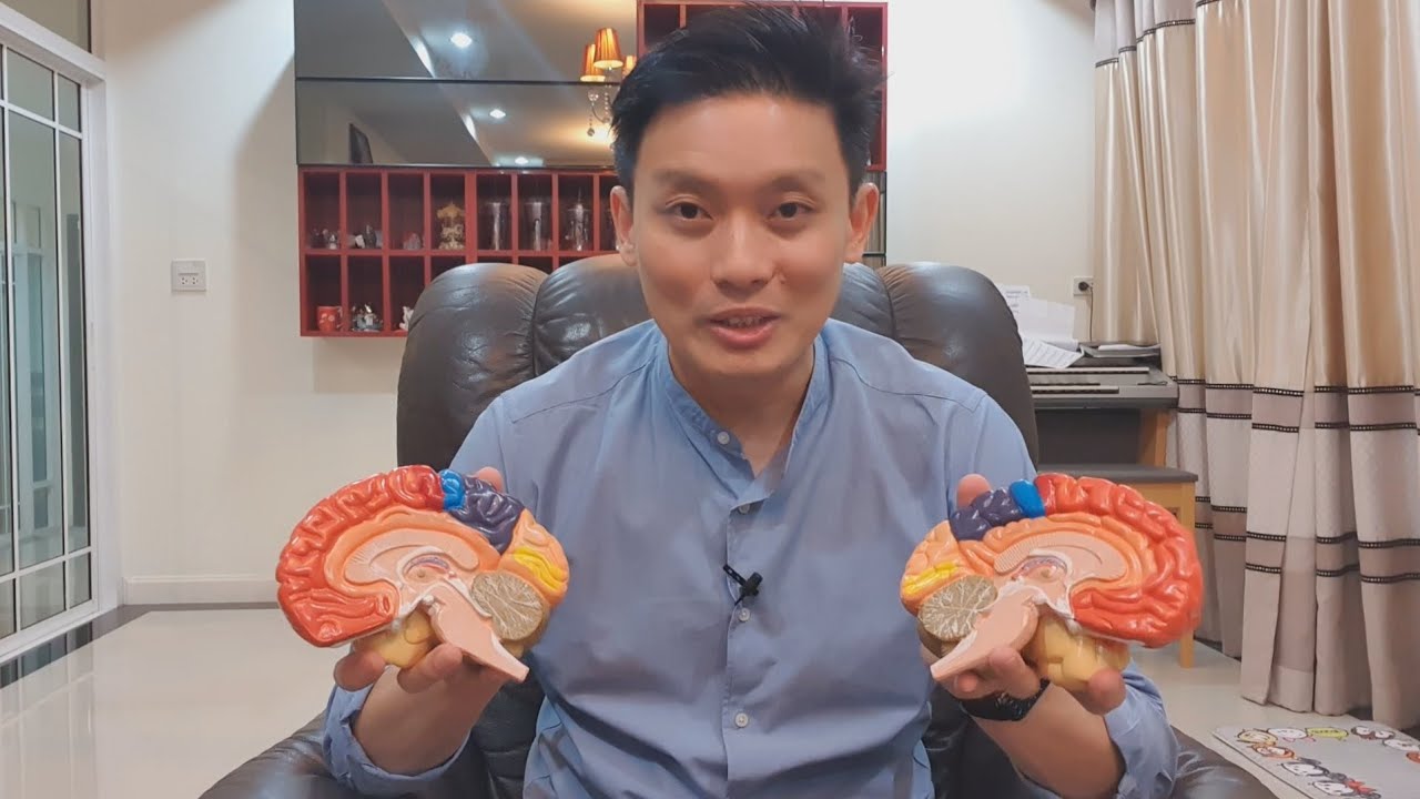 ทำไม? คนเป็นอัมพฤกษ์บางคนพูดไม่ได้ / EP.46