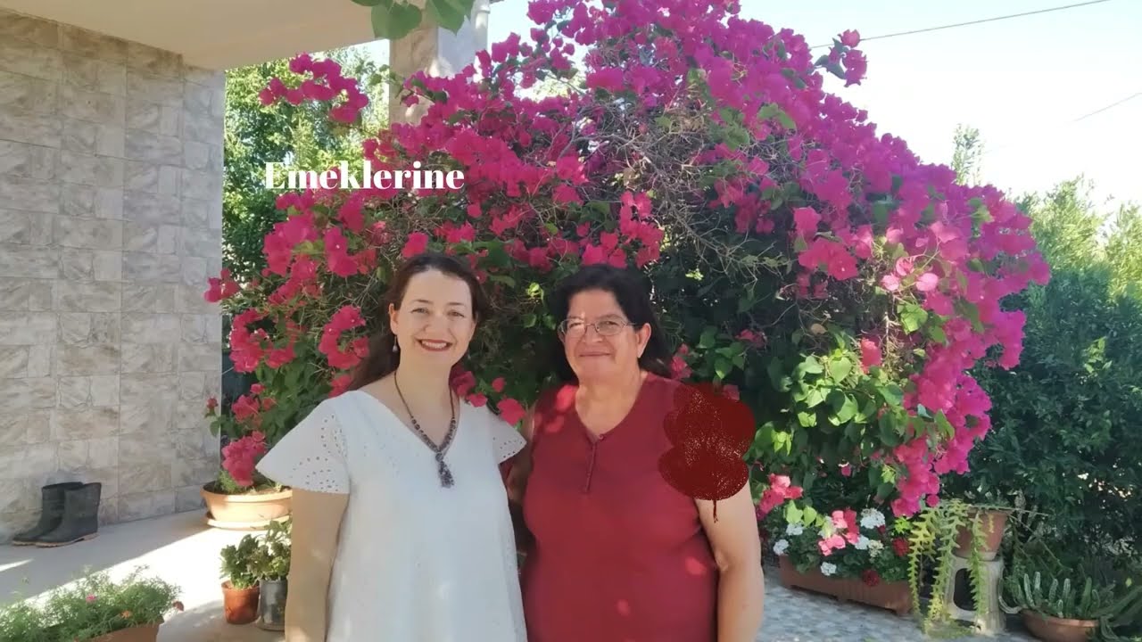 Güzelyurt\Kıbrıs #güzelyurt #kıbrıs #girne #portakal  #karaman #maraş #1974 #farkındalık #lefkoşa