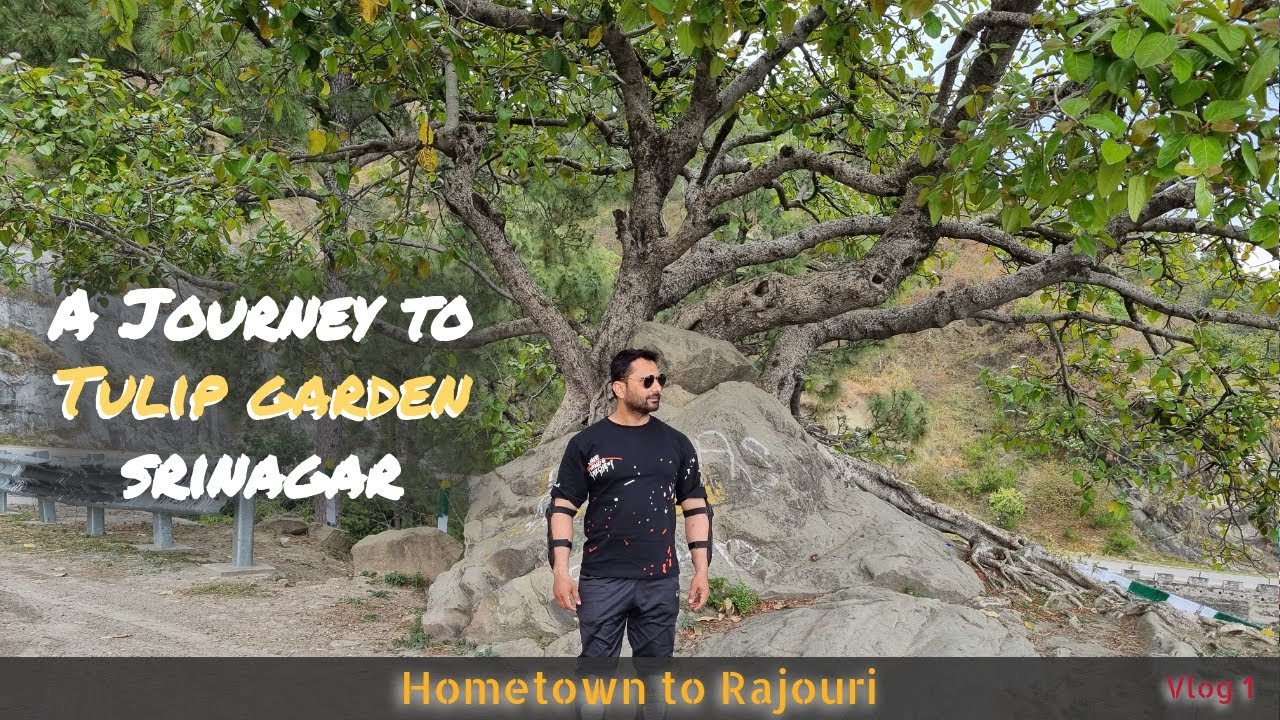 A Journey to Tulip Garden Srinagar 2024 | Vlog 1 | Garhshankar to Rajouri Jammu and Kashmir