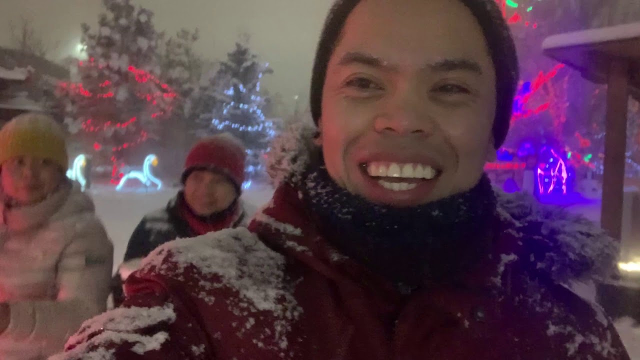 ZOOLIGHTS 2020